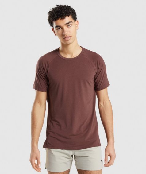 Men's Gymshark Studio Amplify T-Shirts Brown | CA DA560N